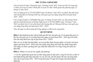 Quyết định 318/QĐ-TTg 2022 Bộ tiêu chí quốc gia về xã nông thôn mới 2021 2025