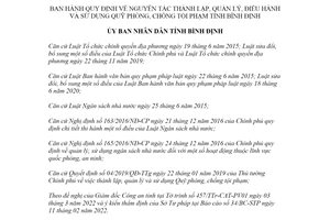 Quyết định 06/2022/QĐ-UBND nguyên tắc thành lập Quỹ phòng chống tội phạm Bình Định