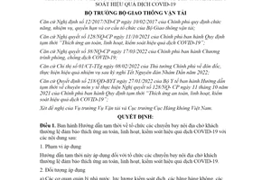 Quyết định 372/QĐ-BGTVT 2022 tổ chức chuyến bay nội địa thường lệ thích ứng dịch COVID19