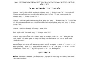 Quyết định 08/2022/QĐ-UBND tổ chức họp báo Ủy ban nhân dân Vĩnh Phúc