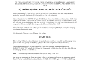 Quyết định 1303/QĐ-BNN-TCLN 2022 công bố thủ tục hành chính lĩnh vực Lâm nghiệp